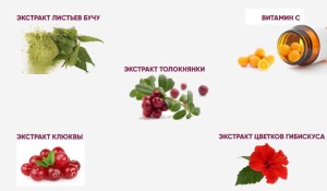 phytocinol-sostav