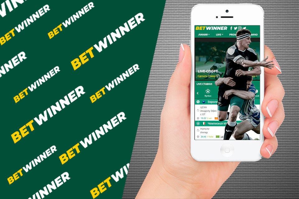 Betwinner – молодая букмекерская контора