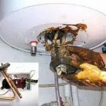 Бойлер перестал греть воду: какие запчасти для бойлера чаще всего выходят из строя