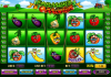 Игровой автомат Crazy Fruits: правила онлайн игры
