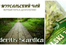 Мурсальский чай — панацея от многих болезней или миф?
