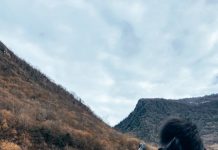 О культуре pet-friendly в России, или Путешествуем вместе с питомцем