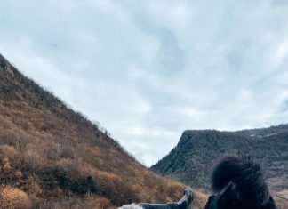 О культуре pet-friendly в России, или Путешествуем вместе с питомцем