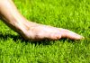 Уход за газоном: как правильно ухаживать весной и летом?