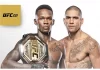 Сериалы в спортивных единоборствах. Трилогии в UFC