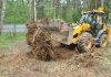 Расчистка участка от деревьев под ключ: особенности услуги