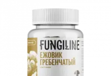 Ежовик: природное лекарство, о котором вы не знали