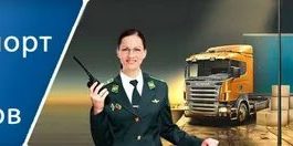 Таможенная процедура реимпорта и как она осуществляется